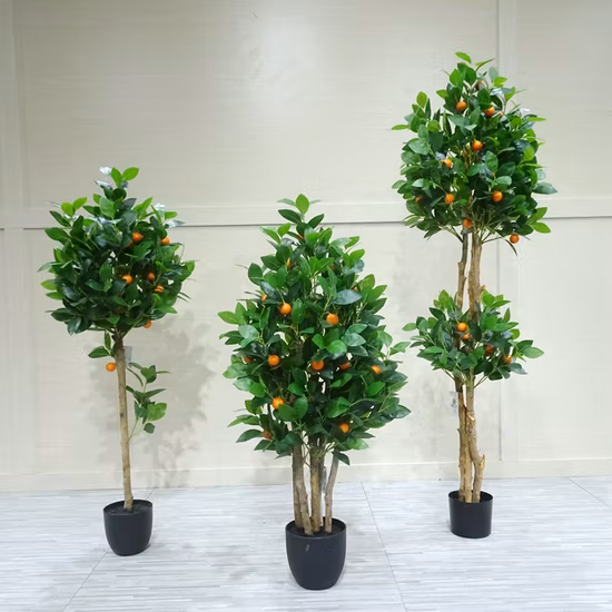 Vieille tête d'arbre 93 fruits Ping une plante artificielle Jinju