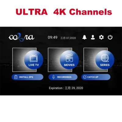 Hi-Ott IPTV Cobra Reseller Panel pour Hollandais Allemagne USA Canada Royaume-Uni Italie Arabe Inde Pakistan Turc 18+ M3u Liste pour Android Set Top Box